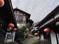 -后柳水乡