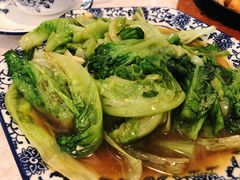 -东北王食府(科大店)