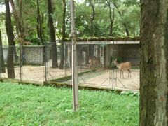 -广东茂名森林公园