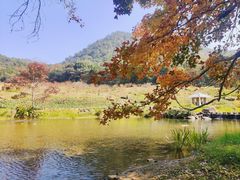 -广州市石门国家森林公园