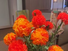 -海底捞火锅(高科广场店)