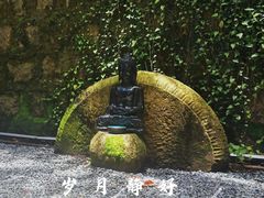 -普陀山雷迪森庄园