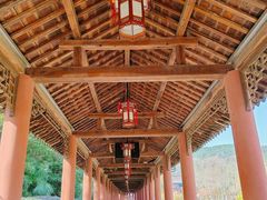 -冶父山国家森林公园