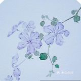 我什么时候也可以给自己画可爱的头像呀[调皮]