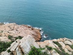 -广东惠东海龟国家级自然保护区