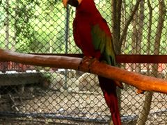 -清迈夜间动物园