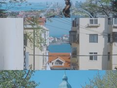 -小麦岛公园