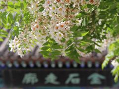 -北京石刻艺术博物馆(五塔寺)