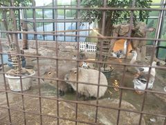 -海合安成都极地海洋公园