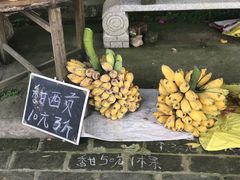 -扬美古镇景区