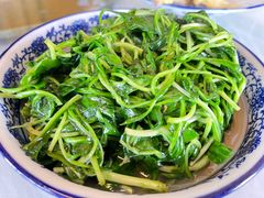 清炒马兰头-洞天食府(北大街店)