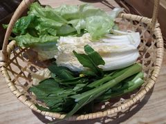 有机田园杂菜拼-椰夫人·养生椰子鸡(黄埔时代城店)