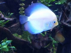-迪拜水族馆及水下动物园