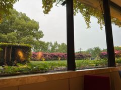 -潮府馆·非遗潮州菜·港式点心(世纪公园店)