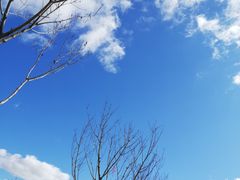 -琅岐红光湖公园