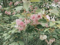 -达活泉公园