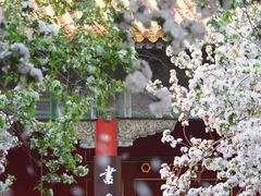 -故宫博物院(故宫)