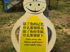 -天适樱花悠乐园