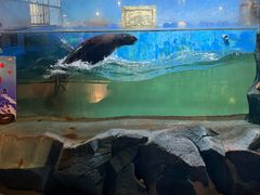 -常州海昌海洋探索馆