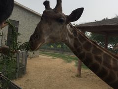 -石家庄市动物园