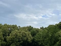 -普陀山风景区-佛顶山