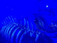 -波塞冬旅游度假区