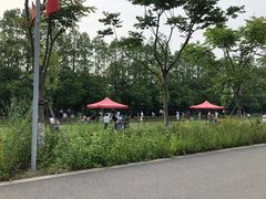 -上海长兴岛郊野公园