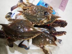 -春华海鲜城(广场西苑店)