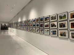 -罗红摄影艺术馆