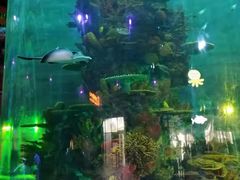 -青岛嘉年华主题乐园