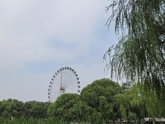 -青城公园