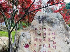 -广州市帽峰山景区