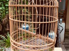 -丽江庭院·云南野生菌·海鲜火锅(鼓楼四合院店)