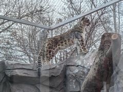 -青藏高原野生动物园
