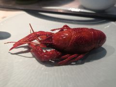 -淮扬韵(凤八市政府店)
