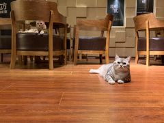 -H立方实景剧情密室(天河旗舰店)