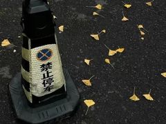 -真地道京味府·鲜橙烤鸭·北京菜(朝外大街东大桥店)