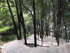 -火炉山森林公园