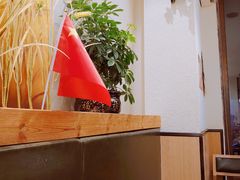 -彤德莱(奥林店)