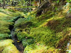 -西芳寺(苔寺)