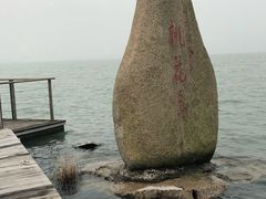 景点-金鸡湖桃花岛