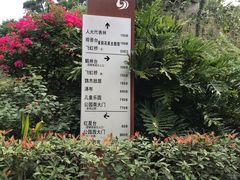 -金鸡山公园