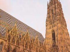 -斯蒂芬主教座堂(Stephansdom)