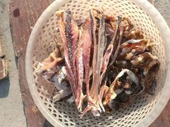 -巽寮印象美食部落餐厅·海鲜·地方特色菜(惠州体验店)