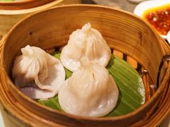 -唐茶苑(Soho)