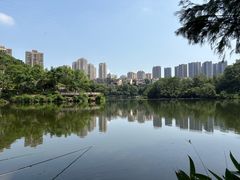 -重庆彩云湖湿地公园