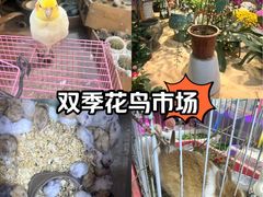 -双季花艺园艺市场(浦东店)