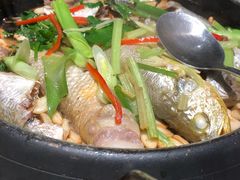 野生杂鱼煲-珍味汤馆·潮汕家乡菜(保利文化广场店)