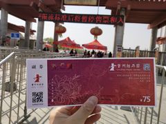 -曹州牡丹园
