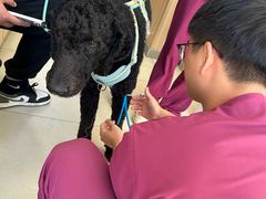 -宠福鑫康馨动物医院·骨科·眼科